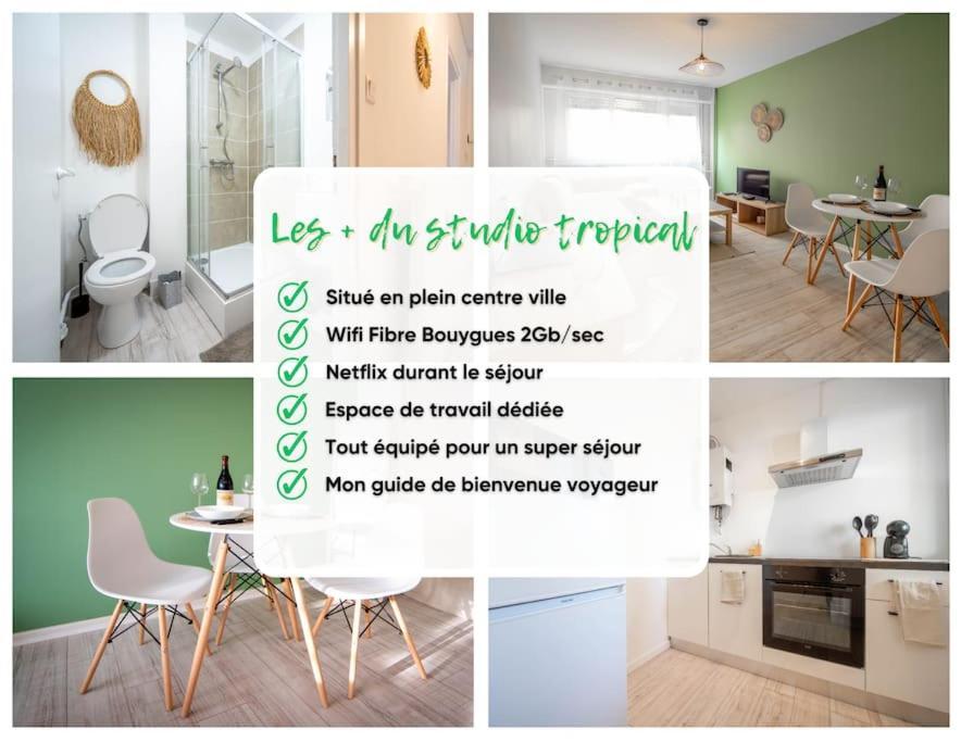 Le Studio Tropical Chalon-sur-Saône Εξωτερικό φωτογραφία